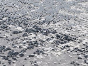 Farbe 669 - Perspektive 7