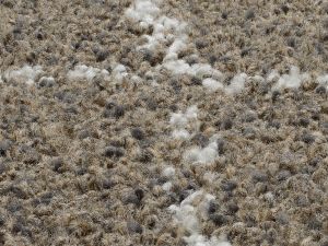 Farbe 264 - Perspektive 7