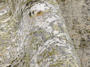 Farbe 963 - Perspektive 6