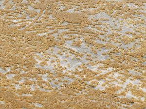 Farbe 450 - Perspektive 7