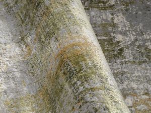 Farbe 963 - Perspektive 6