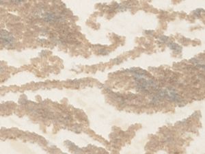 Farbe 616 - Perspektive 7