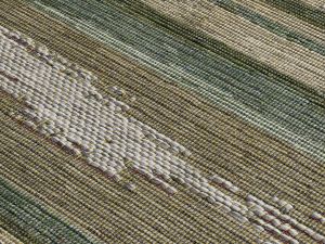 Farbe 548 - Perspektive 7