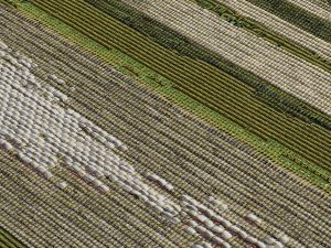 Farbe 650 - Perspektive 7