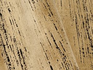 Farbe 645 - Perspektive 6