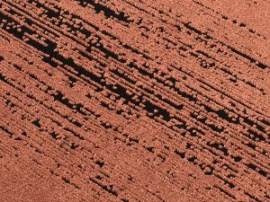 Farbe 687 - Perspektive 7