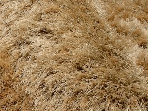 Farbe 455 - Perspektive 6