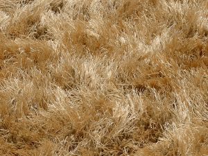 Farbe 455 - Perspektive 7