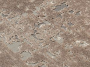 Farbe 458 - Perspektive 7