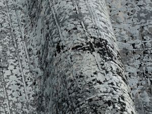 Farbe 519 - Perspektive 6