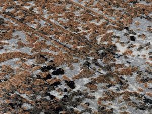 Farbe 717 - Perspektive 7