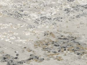 Farbe 669 - Perspektive 7