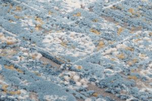 Farbe 822 - Perspektive 7