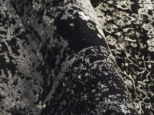 Farbe 604 - Perspektive 6