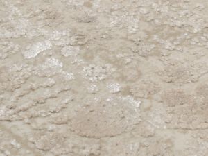 Farbe 420 - Perspektive 7