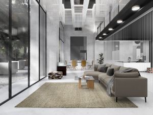 Farbe 458 - Perspektive 11