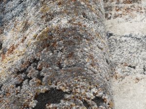 Farbe 597 - Perspektive 6