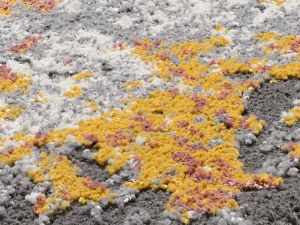 Farbe 598 - Perspektive 7