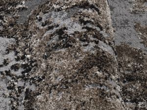 Farbe 547 - Perspektive 6