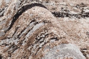 Farbe 547 - Perspektive 9