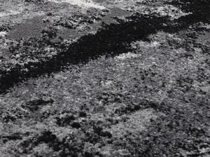 Farbe 566 - Perspektive 7