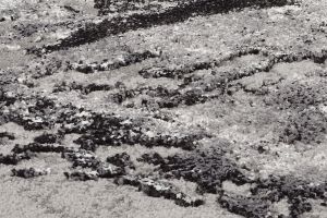 Farbe 566 - Perspektive 8