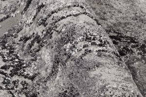 Farbe 566 - Perspektive 9