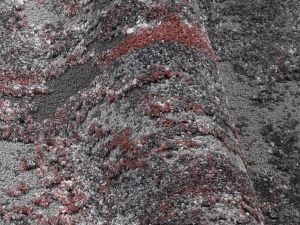 Farbe 674 - Perspektive 6