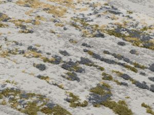 Farbe 597 - Perspektive 7