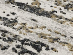 Farbe 669 - Perspektive 7