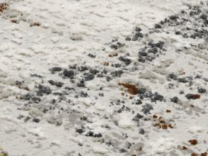 Farbe 597 - Perspektive 7