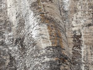 Farbe 467 - Perspektive 6