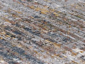 Farbe 598 - Perspektive 7