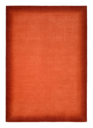Farbe 421 - Perspektive 29