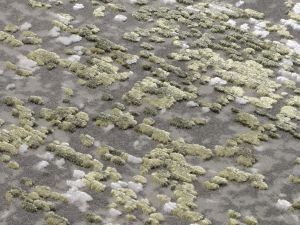 Farbe 963 - Perspektive 7