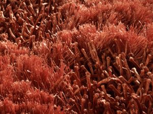 Farbe 421 - Perspektive 6
