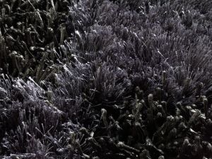 Farbe 478 - Perspektive 6