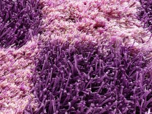 Farbe 485 - Perspektive 6
