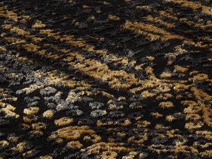 Farbe 645 - Perspektive 7