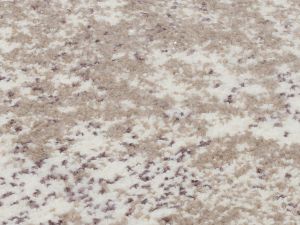 Farbe 675 - Perspektive 7