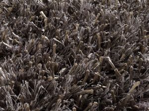 Farbe 407 - Perspektive 6