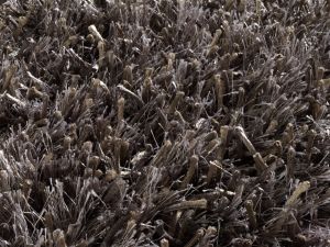 Farbe 407 - Perspektive 7