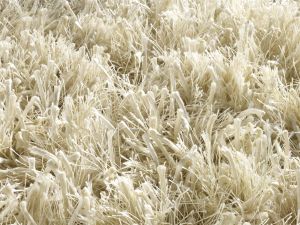 Farbe 420 - Perspektive 6