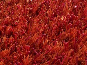 Farbe 421 - Perspektive 6