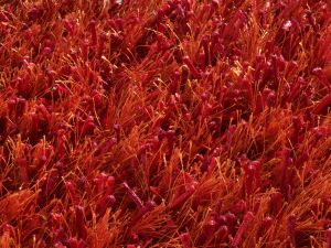 Farbe 421 - Perspektive 7
