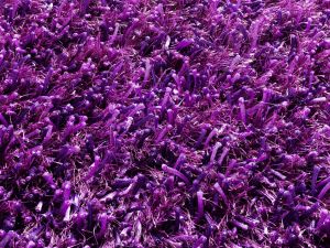 Farbe 485 - Perspektive 6