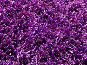 Farbe 485 - Perspektive 7