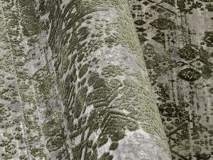 Farbe 445 - Perspektive 6