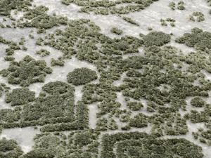 Farbe 445 - Perspektive 7