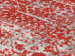 Farbe 421 - Perspektive 7